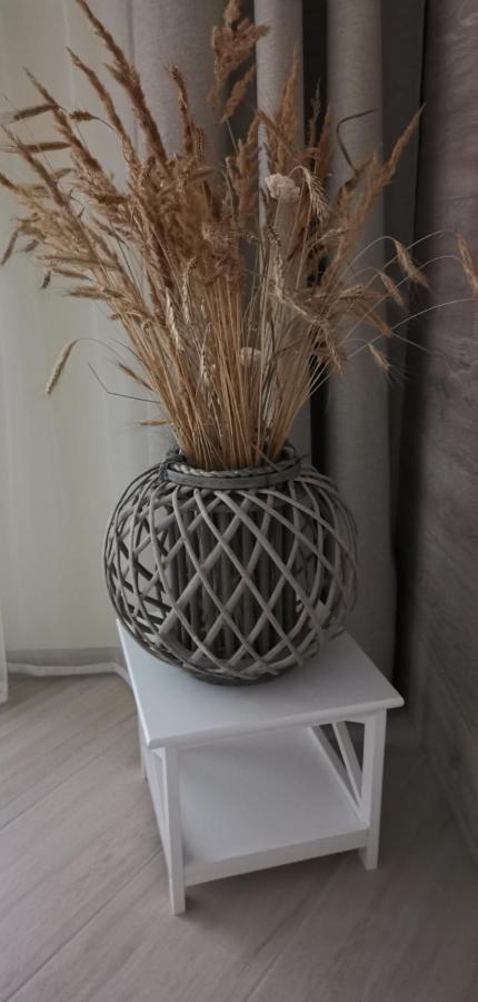 Apartmán Milda Juodkrantė Exteriér fotografie